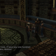 Wait, how many chocobos?!